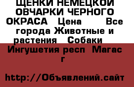 ЩЕНКИ НЕМЕЦКОЙ ОВЧАРКИ ЧЕРНОГО ОКРАСА › Цена ­ 1 - Все города Животные и растения » Собаки   . Ингушетия респ.,Магас г.